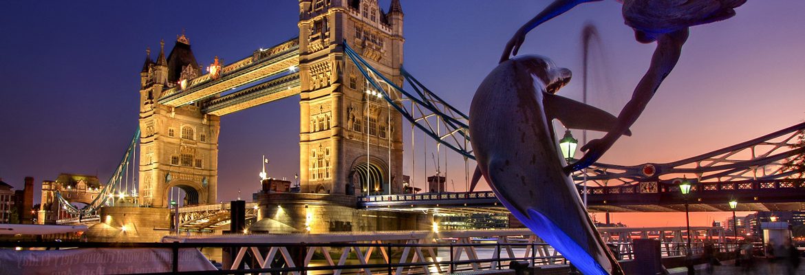 VIP Tours and Travel